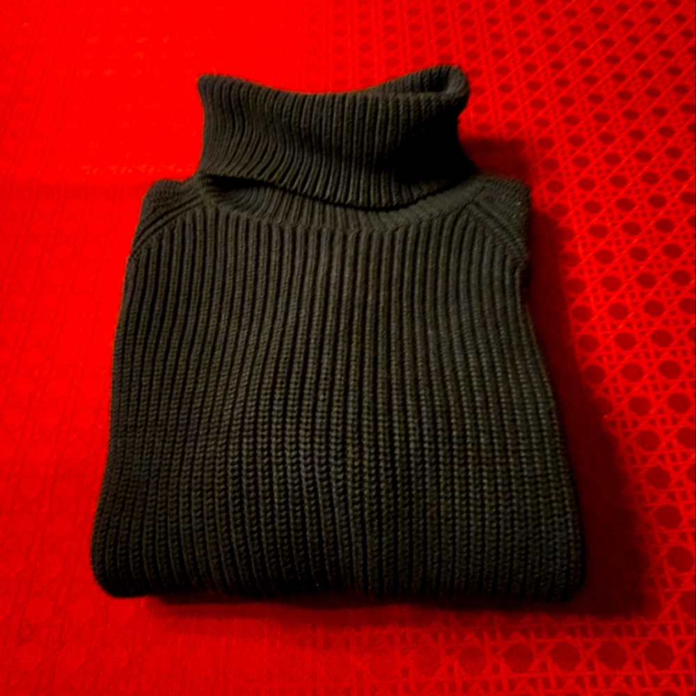 Lands End heavy turtleneck sweater.  Size S